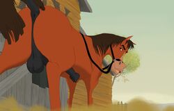 1boy anatomically_correct animal_genitalia balls buck_(home_on_the_range) disney equine erection feral home_on_the_range horse horsecock huge_flare looking_back male male_only mammal penis perspective solo vein zica