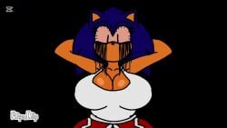 Sonic.Exe (Series) Rule 34 Video