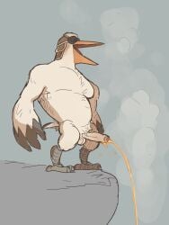 anthro avian balls bird blush boner bunbunny_(artist) erection furry male male_only nintendo nude peeing penis penn_(legend_of_zelda) rito smallsrabbit solo solo_male tears_of_the_kingdom the_legend_of_zelda urination urine