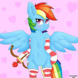 1:1 absurd_res clothing equid equine female footwear friendship_is_magic genitals hasbro hi_res horse humanoid_genitalia humanoid_pussy mammal my_little_pony pony pussy rainbow_dash_(mlp) semi-anthro socks solo yellowcrom