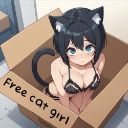 ai_generated animal_ears animal_tail big_breasts black_fur black_hair black_lingerie black_underwear blue_eyes blush blush_lines box breasts cardboard cardboard_box cat_ears cat_girl cat_humanoid cat_tail catgirl cleavage cute cute_expression cute_eyes cute_face cute_girl ear_fluff feline female female_focus female_only free free_use from_above from_above_view inside_box jorgecarlosai lingerie lingerie_only looking_at_viewer looking_up neko nekomimi short_hair tail thighs toned toned_female underwear underwear_only watermark