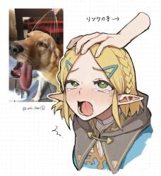 1girls ahe_gao blonde_hair blush elf_ears green_eyes headpat heart-shaped_pupils link nintendo princess_zelda rolling_eyes tears tears_of_the_kingdom the_legend_of_zelda tongue_out uncommon_stimulation uni_520 zelda_(tears_of_the_kingdom)