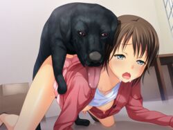 all_fours blush canine cyclet doggy_style female feral fur game_cg hyper_heiki interspecies kankyuu_goujuu sex shinonome_mari sweat tongue tongue_out vaginal_penetration zoophilia