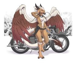 Barbel (Anatomy) Rule 34 Image