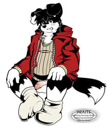 anthro balls bottomless canine clothing draite fur furry male male_only mammal overweight penis roni_collins socks solo