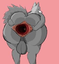 anal anal_canal anal_penetration anal_vore anthro anus backsack balls bent_over big_anus big_balls big_butt blush bone brown_eyes brown_hair butt canid canine canis closed_smile d1rteater duo feet_first fully_inside fur gaping gaping_anus genitals grey_body grey_fur grey_hair hair hi_res huge_anus huge_thighs human hyper_gape larger_pred long_hair looking_at_viewer male male/male mammal mouth_closed nameless_(d1rteater) nude overweight overweight_male overweight_pred partially_inside penetration pink_eyes presenting presenting_hindquarters rear_view simple_background size_difference skull skull_head skulldog_(species) smile spread_butt spreading spreading_own_butt thick_thighs vore willing_prey wolf