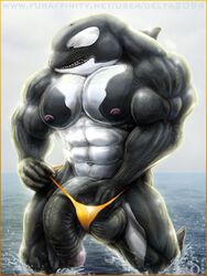 1boy abs balls biceps big_balls big_muscles big_penis cetacean delta2094 huge_cock hyper hyper_muscles male male_only mammal marine muscles orca pecs penis solo speedo thick_penis thong uncensored uncut vein water whale