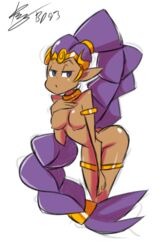 dancer shantae from shantae by bigdeadalive