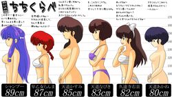 akane_tendo bandage beige_skin blue_hair bow bra breasts brown_hair chart closed_eyes clothes color female female_only human japanese_text kasumi_tendo kj_(artist) lineup long_hair multiple_girls nabiki_tendo nude open_eyes panties purple_hair ranma-chan ranma_1/2 ranma_saotome red_hair round_ears shampoo_(ranma_1/2) short_hair side_view standing text translation_request ukyo_kuonji underwear