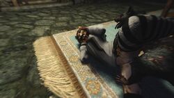 3d discombobulation feline khajiit skeever skyrim socks the_elder_scrolls video_games