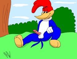 1boy 2004 anthro anus asshole avian balls ballsack bird bushes butthole clouds cock dick erection outdoors penis rave_roo tagme testicles the_woody_woodpecker_show tree universal_pictures universal_studios woodpecker woody_woodpecker