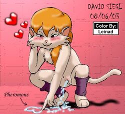 2003 Rule 34 Image