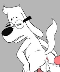 20th_century_fox anal anthro ass balls canine cum cum_in_ass cum_inside disembodied_penis dreamworks eyewear glasses green_eyes jay_ward_productions jerseydevil male male_only mammal mr._peabody mr._peabody_and_sherman penis rocky_and_bullwinkle