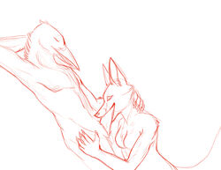 anthro avian bird canine closed_eyes crow duo erection fellatio female fox fur furry male mammal nyxapnea oral oral_sex penis sex sketch straight