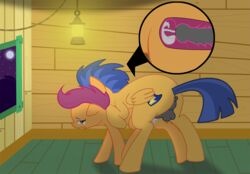 ass crying cum cum_in_pussy cum_inside female flash_sentry friendship_is_magic male my_little_pony penetration penis pussy scootaloo sex straight tears vaginal_penetration