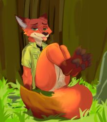 anthro anus anus_only ass blep bodjiart bottomless brown_body brown_fur canid canine clothed clothing digital_media_(artwork) dipstick_tail disney featureless_crotch feet_up fox fur gloves_(marking) grass green_eyes hi_res leg_markings looking_at_viewer male male_only mammal markings multicolored_body multicolored_fur necktie nick_wilde orange_body orange_fur plant red_fox shirt smile socks_(marking) solo tail tail_markings tongue tongue_out topwear true_fox x_anus zootopia