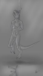 asphyxiation bound dinosaur hanged male_only monochrome nyxapnea penis raptor scalie snuff straight_hair