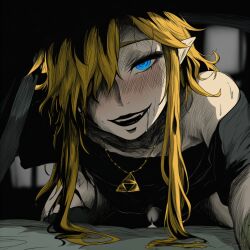 link from nintendo by luxica