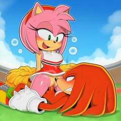 amy rose from sonic (series)