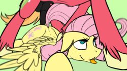 2014 anal animal_genitalia animated balls big_macintosh_(mlp) cutie_mark duo equine eyelashes female feral fetlocks fluttershy_(mlp) friendship_is_magic fucked_silly fur hair horse horsecock long_hair male mammal my_little_pony pegasus penetration penis pink_hair plain_background pony ralek red_fur sex straight tongue tongue_out wings yellow_fur