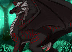 black_body diphallia diphallism dragon erection feral genital_slit hemipenes looking_at_viewer male multi_penis outside penis red_eyes red_stripes slit solo syrinoth tapering_penis wings