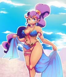 1girls arabian_clothes blue_eyes dancer_outfit dancer_shantae harem_outfit loincloth no_panties purple_hair shantae shantae_(character) straight_hair wayforward