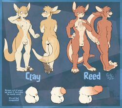 2020 abs animal_genitalia anthro ball_fluff balls becoming_erect blue_eyes campus_avenue clay_(rick_griffin) digit_ring duo genitals green_eyes hi_res jewelry kangaroo macropod male mammal married_couple marsupial model_sheet nipples nude nude_anthro nude_male paws penis penise reed_(rick_griffin) rick_griffin ring sheath translucent wedding_ring worried