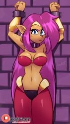 1girls blue_eyes bondage bra breasts brick_wall captured choker cuffs earrings harem_outfit hoop_earrings jamoart large_breasts long_hair looking_at_viewer midriff navel o-ring o-ring_bra pants purple_hair red_bra red_pants shantae shantae_(character) tiara vambraces wrist_cuffs