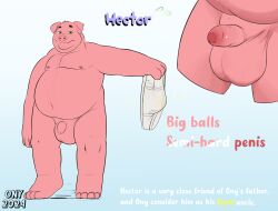 balls belly big_balls clothing domestic_pig genitals half-erect hector hi_res humanoid_genitalia humanoid_penis male mammal model_sheet onykr penis solo stained_underwear suid suina sus_(pig) thick_penis underwear