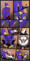 anal avian bird comic duo falco_lombardi love male mammal nintendo raccoon rave_raccoon sex star_fox star_ringer video_games yaoi