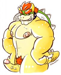 bowser erection koopa male male_only mario_(series) nintendo nipples penis scalie schwarzfox solo vein