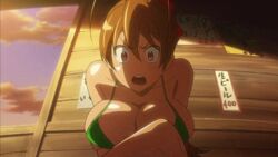 animated bikini_top breasts hair highschool_of_the_dead large_breasts long_hair rei_miyamoto screencap