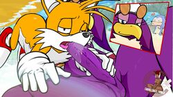 animated anthro avian bird blue_fur dickgirl dulce_isis fellatio furry futa_on_male futanari hedgehog intersex male_sucking_futa mammal oral oral_sex penis sega sex sonic_(series) sonic_riders sonic_the_hedgehog tails uncut veiny_penis wave_the_swallow