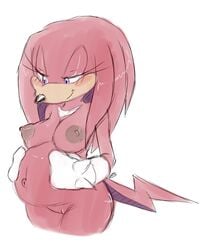 bluechika echidna knora_the_echidna knuckles_the_echidna mammal monotreme pregnant pussy rule_63 sega sonic_(series) uncensored