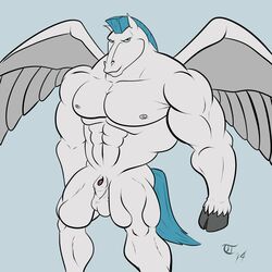 1boy abs anthro anthrofied balls beefcake bulge clothing digital_media_(artwork) disney equine heavy hercules_(disney) horse male male_only mammal mohawk muscles package pecs pegasus pegasus_(hercules) penis solo swimsuit terrykurosu testicles wings