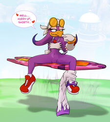 anthro avian bird dulce_isis extreme_gear female female_only hover_board leaking_pussy pussy_juice sega solo sonic_(series) sonic_riders spread_legs swallow tagme wave_the_swallow