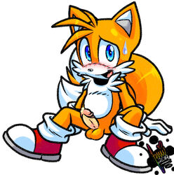 amuzoreh anthro balls blue_eyes blush canine erection fox fur furry male male_only mammal no_humans penis plain_background sega solo sonic_(series) sonic_team sonic_the_hedgehog_(series) sonic_the_hedgehog_2 tails