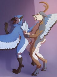 anal anal_sex antlers ass avian bird blue_fur blue_jay cervine clenched_teeth closed_eyes cum cum_inside deer duo erection feathered_wings from_behind fur horn jaiy lunalei male mammal nude open_mouth penetration penis sex standing tail_grab teeth wings yaoi