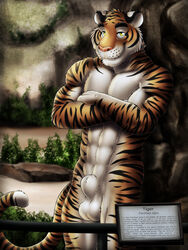 1boy abs anthro balls biceps dream_and_nightmare feline looking_at_viewer male male_only mammal muscles nude pecs sheath smile solo tiger yellow_eyes zoological_gardens