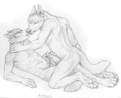 2014 anthro canine cum cum_on_penis cum_on_stomach duo erection frottage fur furry furry_only gay handjob klaus knot luther lying male mammal masturbation nude on_top open_mouth pawpads paws penis penis_grab rukis sketch wolf