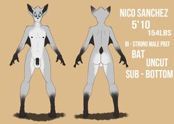 anthro ass balls bat donro furry furry_only gay male mammal model_sheet penis uncut wings