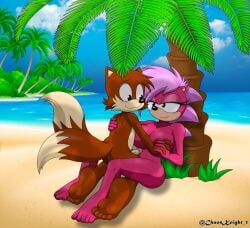 miles tails prower from adventures of sonic the hedgehog by chaosknight 1