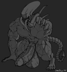 male xenomorph from alien (franchise) by chaosdraws