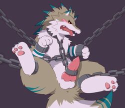 1boy animal_genitalia anus balls blush bondage bound canine_penis chains cock_ring collar erection fangs feral flappydog forced leashed_genitals leashed_to_genitals male male_only open_mouth pawpads paws penis shackles solo spread_legs spreading tears teeth tongue tongue_out