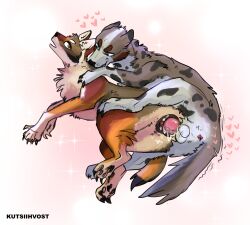 absurd_res anatomically_correct anatomically_correct_genitalia anatomically_correct_penis anatomically_correct_vulva anus australian_shepherd balls bite blue_eyes bodily_fluids breath canid canine canis coyote cum domestic_dog duo female feral from_behind_position genital_fluids genitals heart_symbol hearts_around_head herding_dog hi_res knot kutsiihvost male male/female mammal neck_bite panting pastoral_dog paws penis pussy rikuroo romantic romantic_sex sex sheepdog spoon_position spread_legs spread_pussy spread_vulva spreading vaginal_fluids vulva yops_(psychedelicyops)