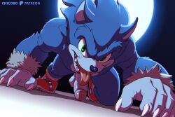 sonic the werehog from sega by chicobo