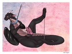 1boy blush bondage bound cock_ring collar diphallia diphallism dragon ember-dragoness exposed feral gloves helpless hemipenes horn leash male male_only multi_penis muzzle_(object) muzzled original_character paws penis sex_toy solo spread_legs spreader_bar tail wings