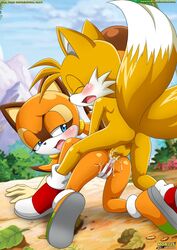 anal anthro canine cub cum cum_in_ass day female fox fur furry interspecies male marine_the_raccoon miles_tails_prower mobius_unleashed nude outdoors palcomix raccoon sex sonic_(series) sonic_the_hedgehog_(series)