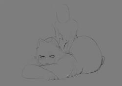 Catti (Deltarune) Rule 34 Video