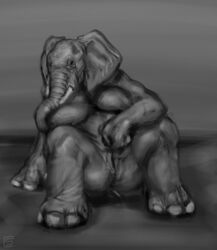 anthro breasts elephant female grey_body greyscale mammal monochrome nude pachyderm pussy sitting splice_(artist) spreading trunk tusks